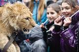 В Харьковском зоопарке появился львёнок