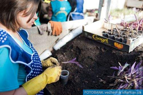 В Харькове заработала современная теплица для выращивания цветов