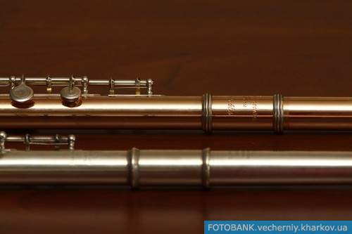 Харьковчане услышали золотую флейту